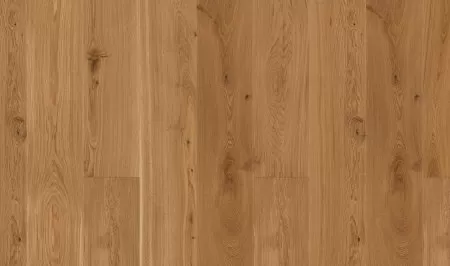 Синерея