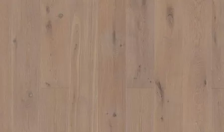 Синерея